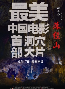成人精品久久